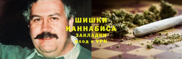 индика Богданович