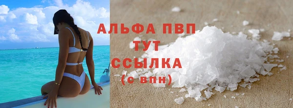 PSILOCYBIN Бронницы