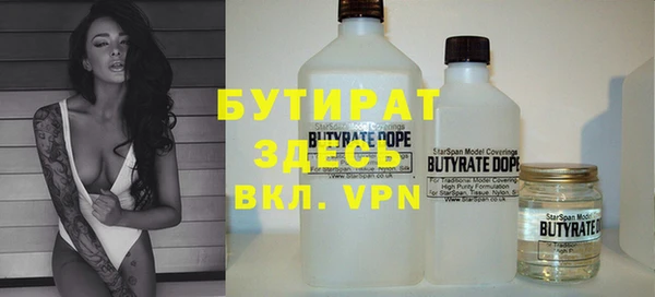 индика Богданович