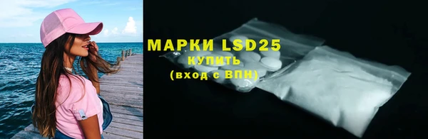 индика Богданович