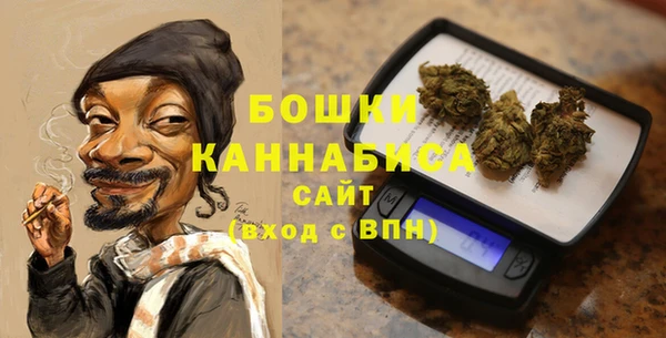 PSILOCYBIN Бронницы