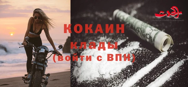 mdpv Бородино