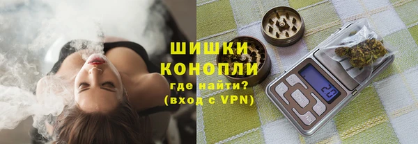 mdpv Бородино