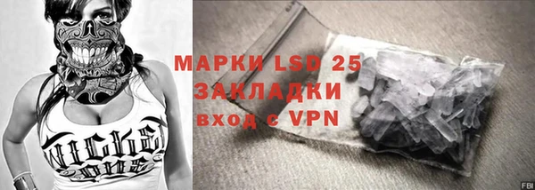индика Богданович