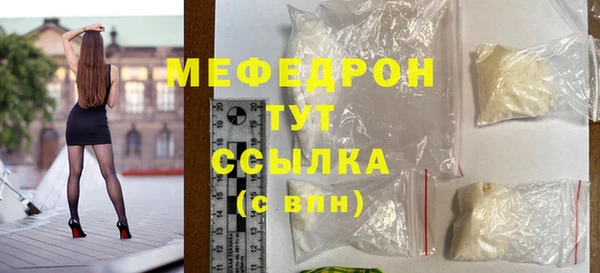 индика Богданович